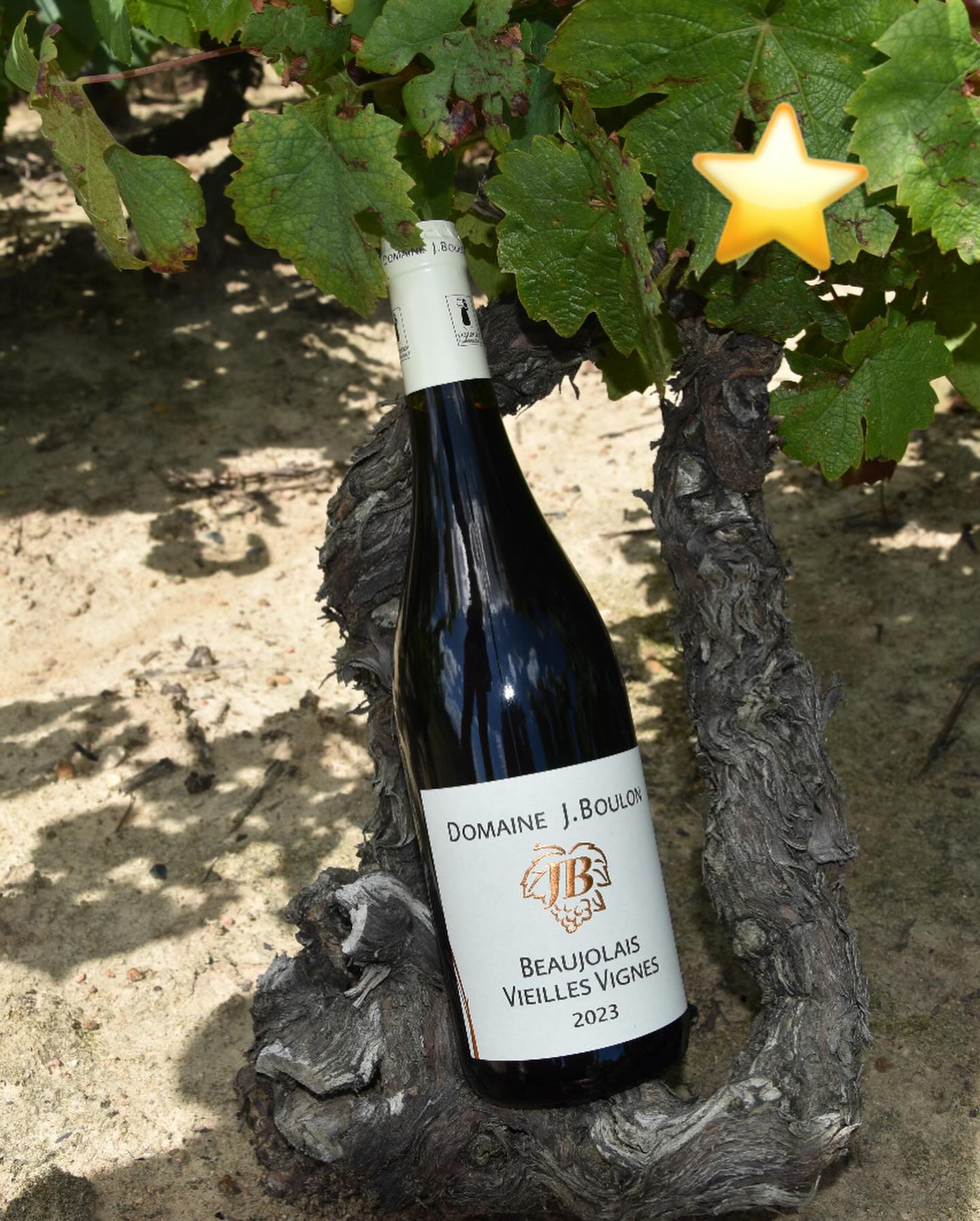 Image Beaujolais Vieilles Vignes 2023